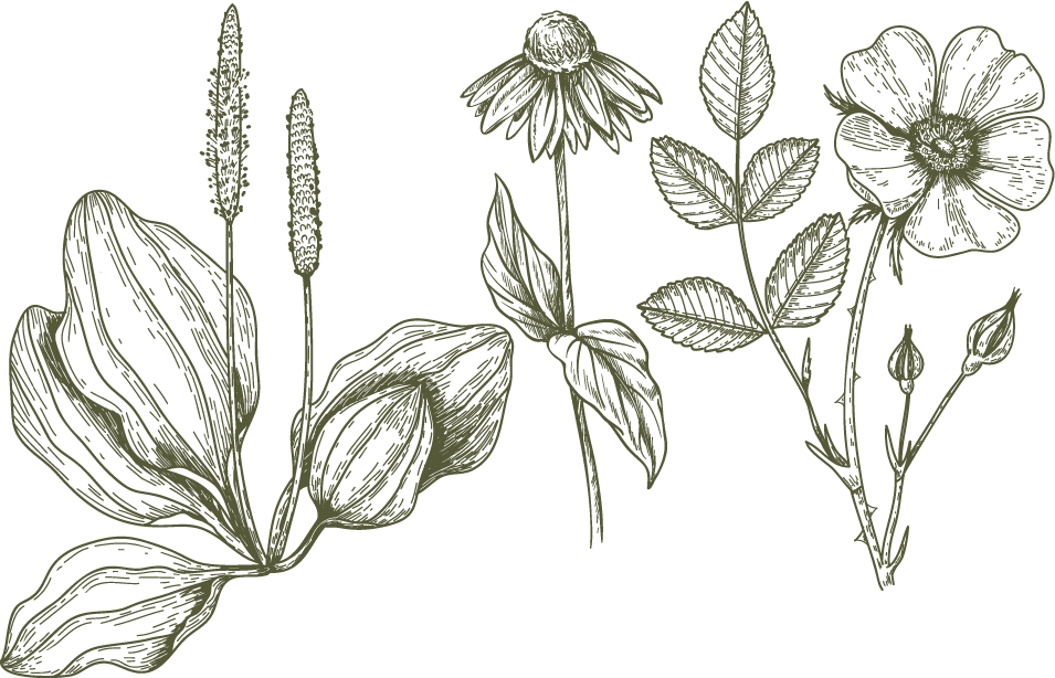 Prairie