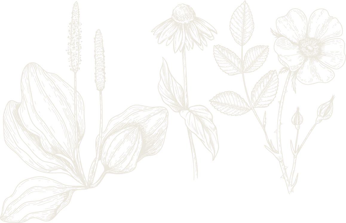 Prairie-2
