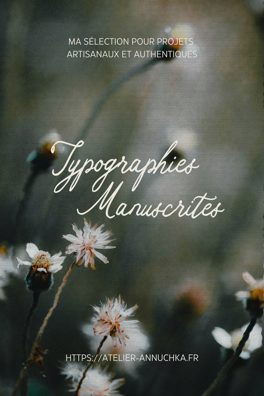 Typographies Manuscrites - Epingle Pinterest 01 Typographies manuscrites inspirantes pour artisans artistes et créateurs