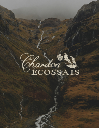 Chardon écossais - Identité visuelle semi-personnalisée